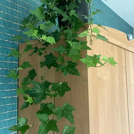 Appartement Crea Els à Westerlo Extérieur photo
